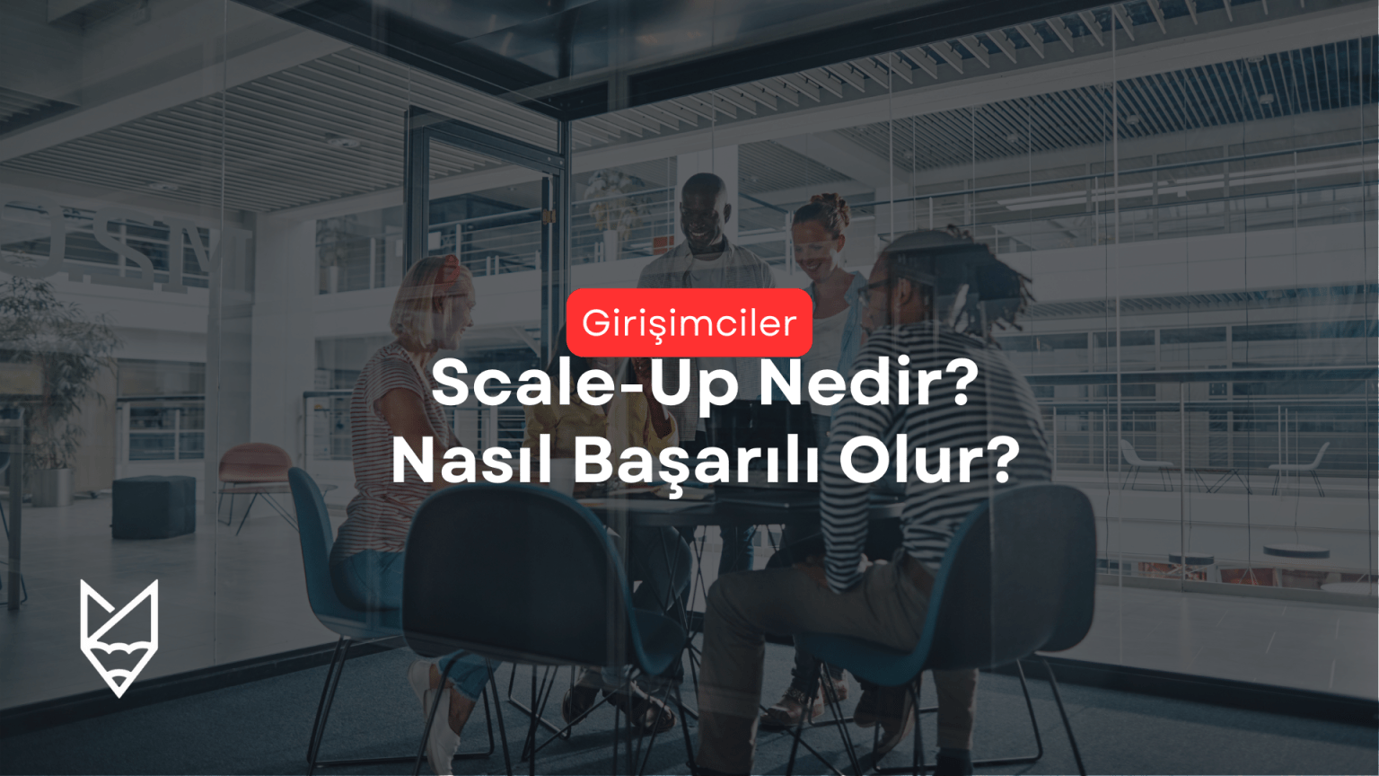 Scale-UP Nedir? Başarılı Bir Scale-Up Nasıl Kurulur? scale-up