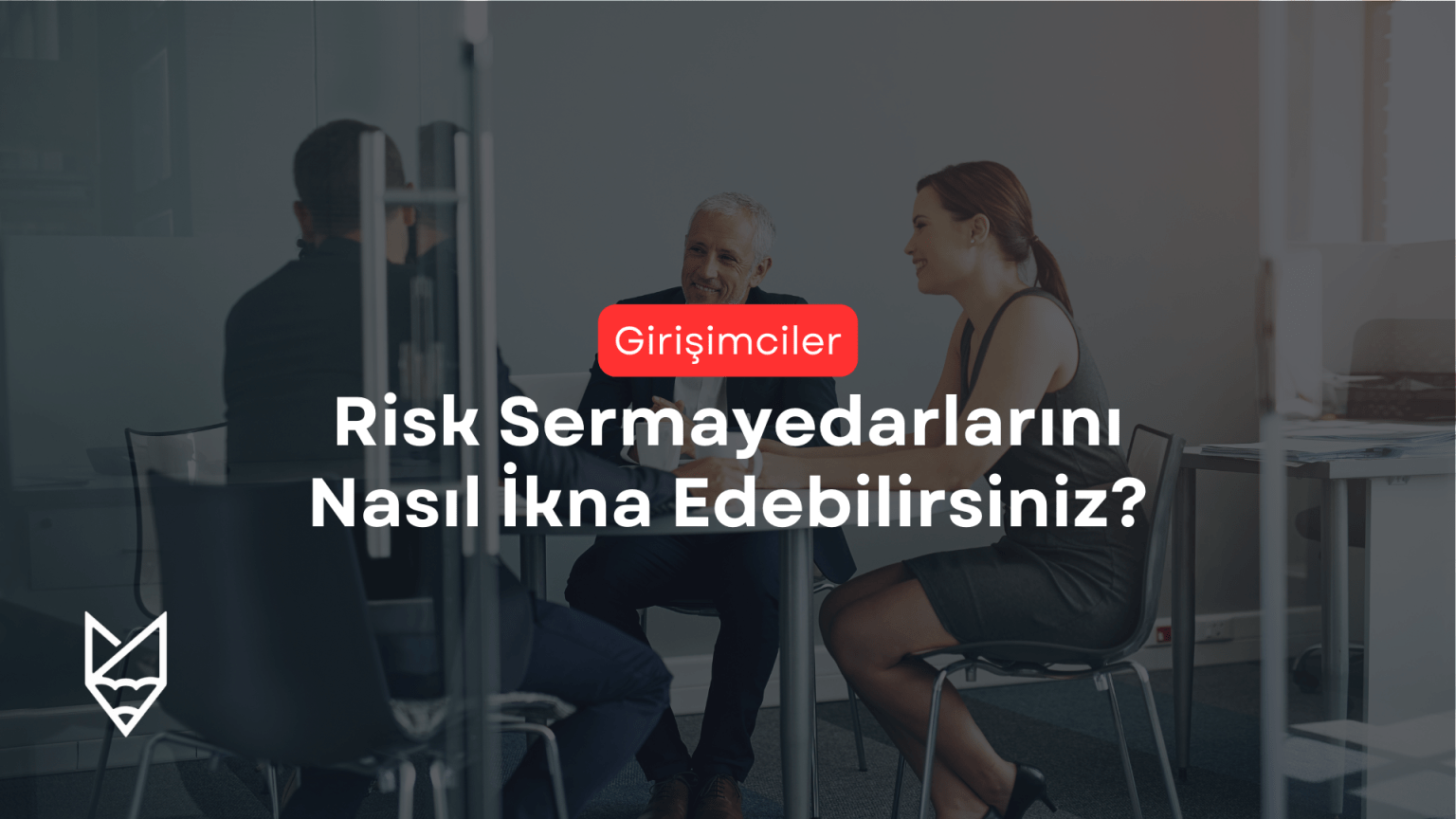 risk sermayedarı