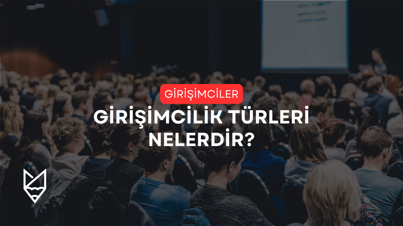 Girişimcilik Türleri Nelerdir?