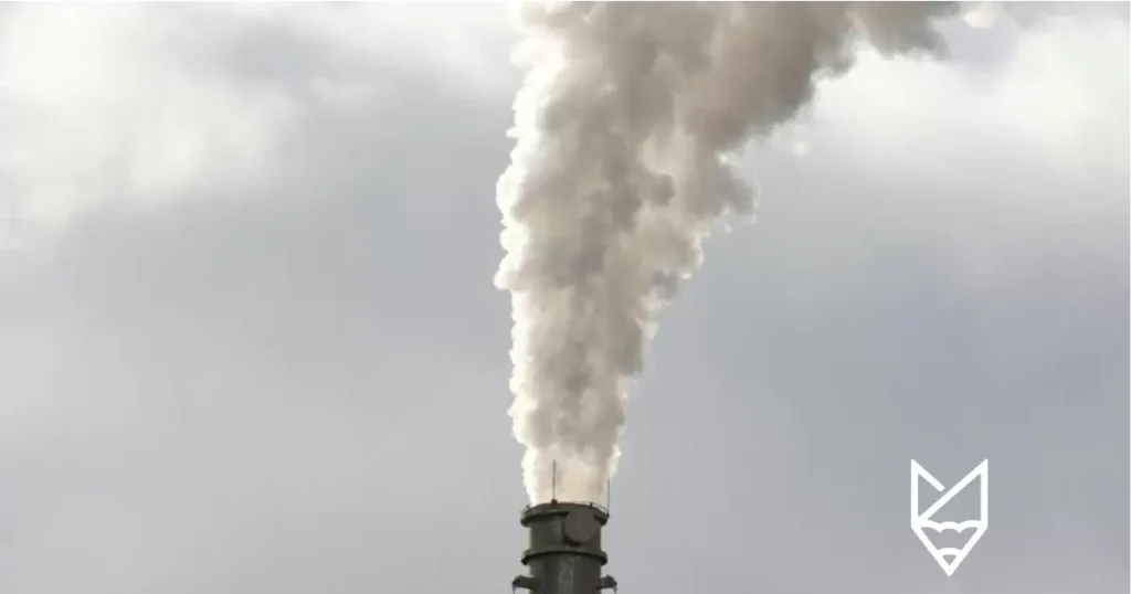 Şirketler İçin Karbonsuzlaşma Stratejileri Nelerdir?