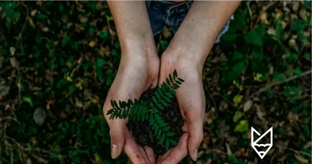 Şirketler İçin Sürdürülebilirlik Nedir ve Neden Önemlidir? Şirketler İçin Sürdürülebilirlik Nedir ve Neden Önemlidir?
