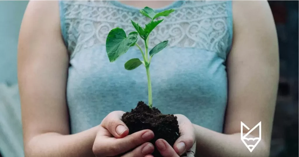 Yeşil Mutabakat Nedir? Türk Şirketlerine Etkileri Nelerdir?