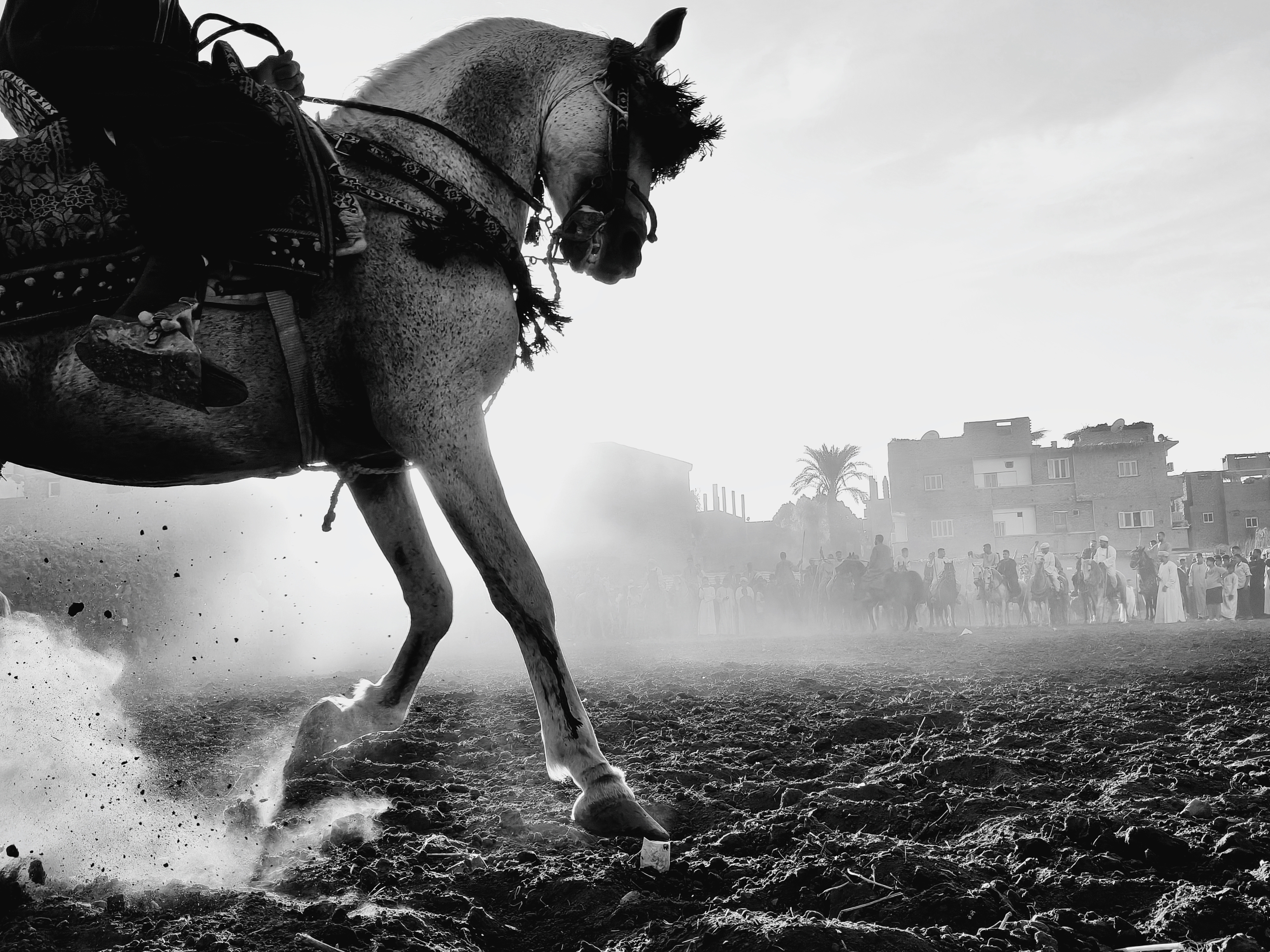 OPPO 2025 Fotoğraf&ccedil;ılık &Ouml;d&uuml;lleri &ndash; sergi anı