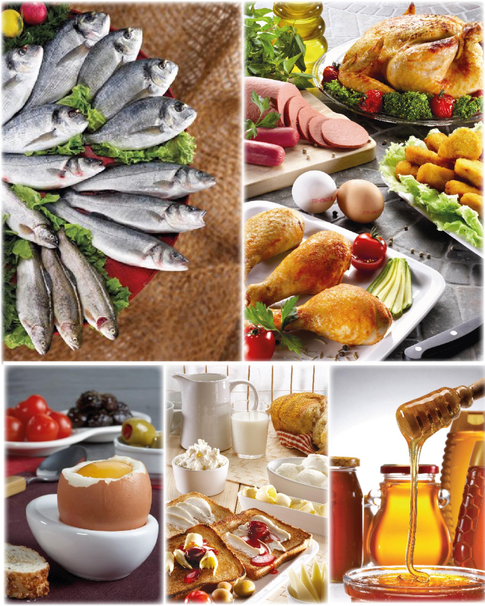 Türkiye su ürünleri ve hayvansal mamuller ihracatı görsel 2