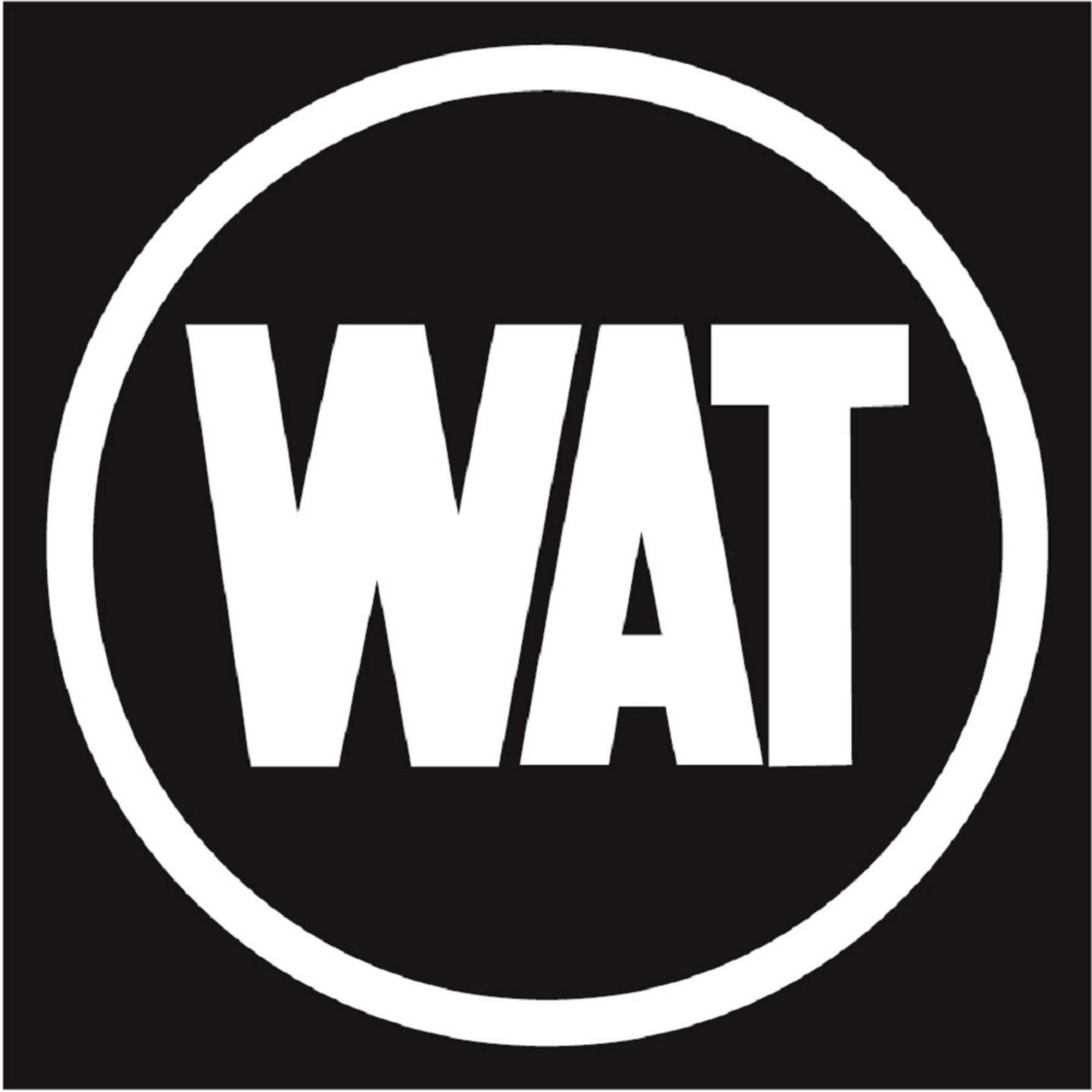 Gökhan Yıldız, WAT Mobilite ve WAT Motor Genel Müdürü - Basın görseli 2