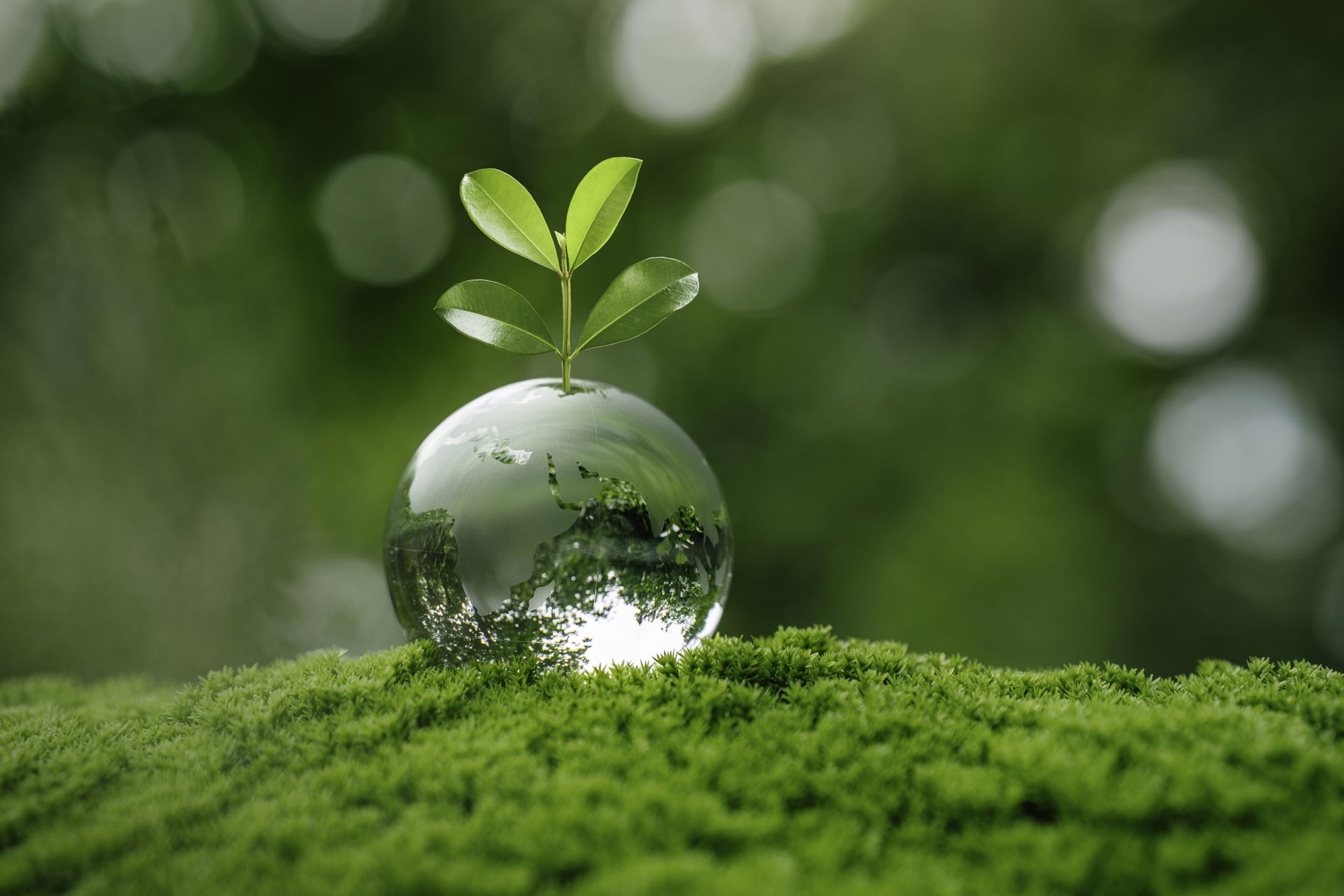 Zorlu Enerji CDP ve S&P başarısı