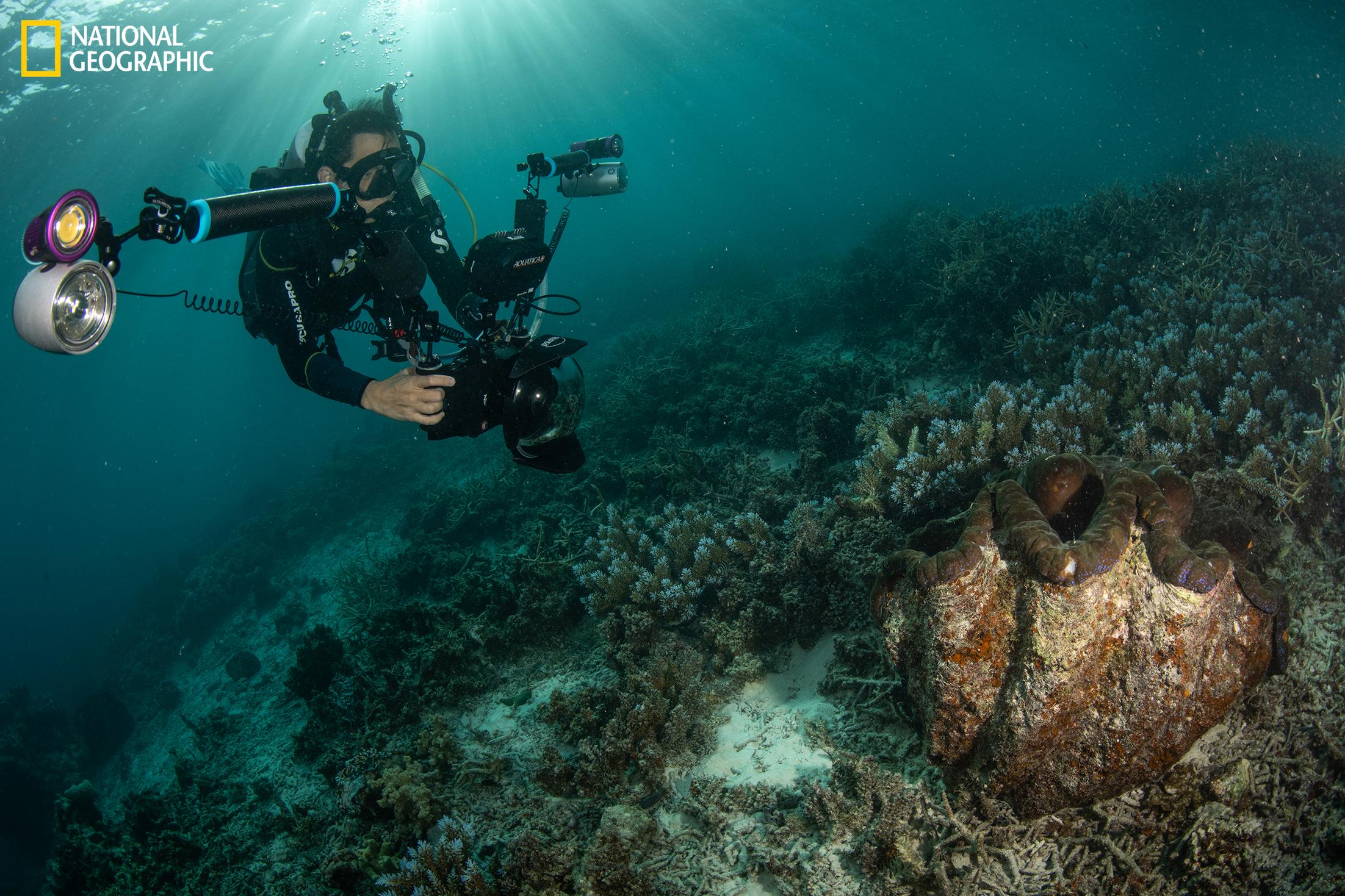 AWS bulut altyapısı ve arşiv dijitalleşmesi