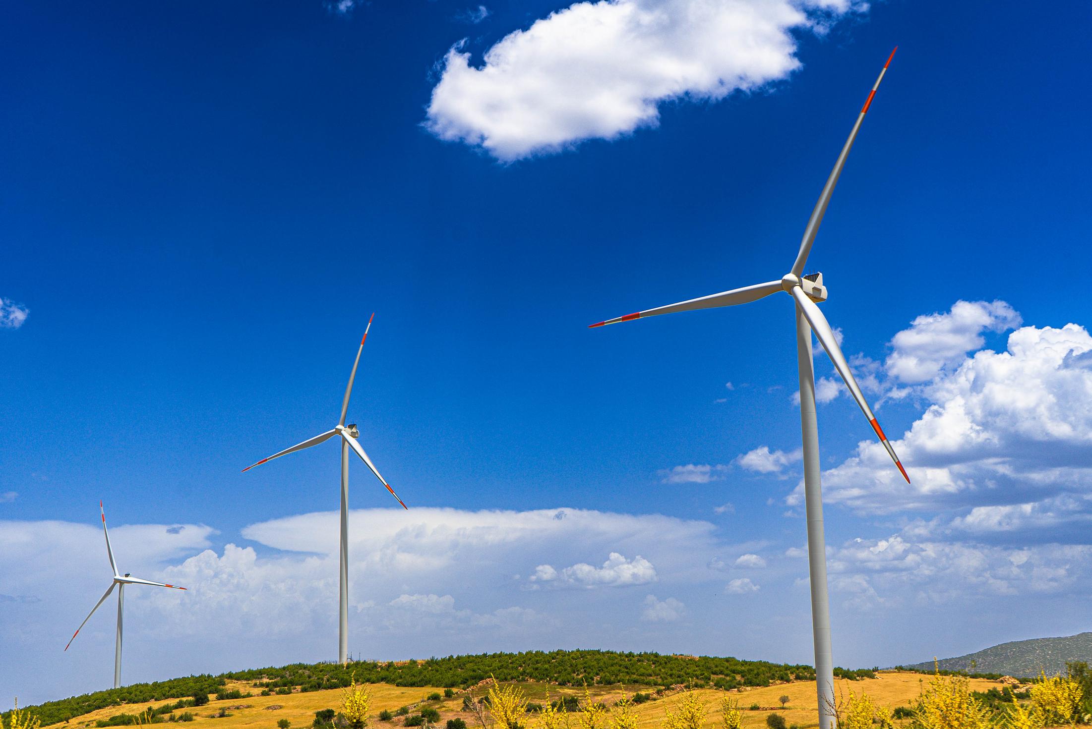 Borusan EnBW Enerji, EPRI Open Power AI üyeliği görseli