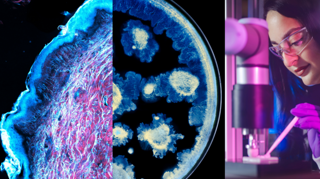 L’Oréal ve Institut Pasteur’den cilt sağlığı ortaklığı