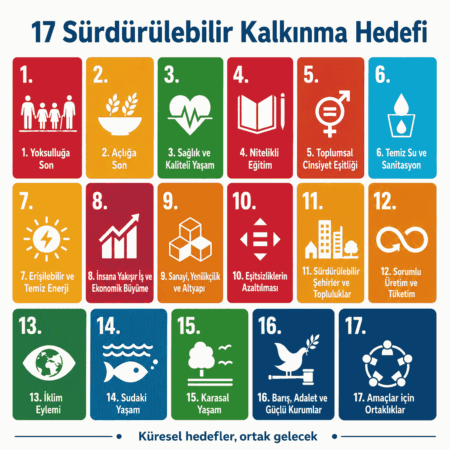 Sürdürülebilirlik Nedir: Şirketler İçin Tam Rehber