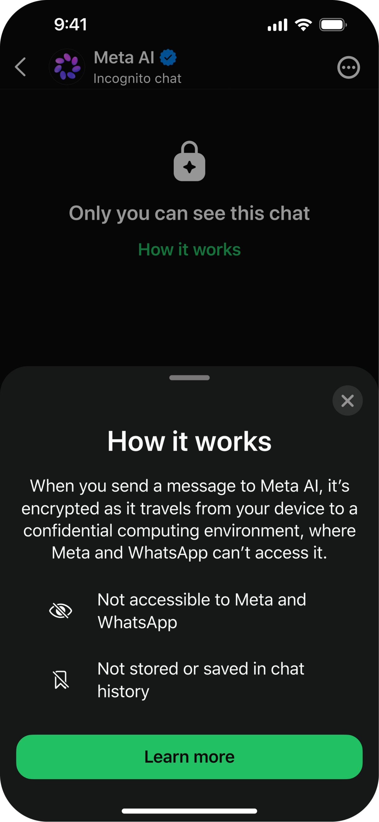 Meta AI Incognito (Gizli) Sohbet görseli 2