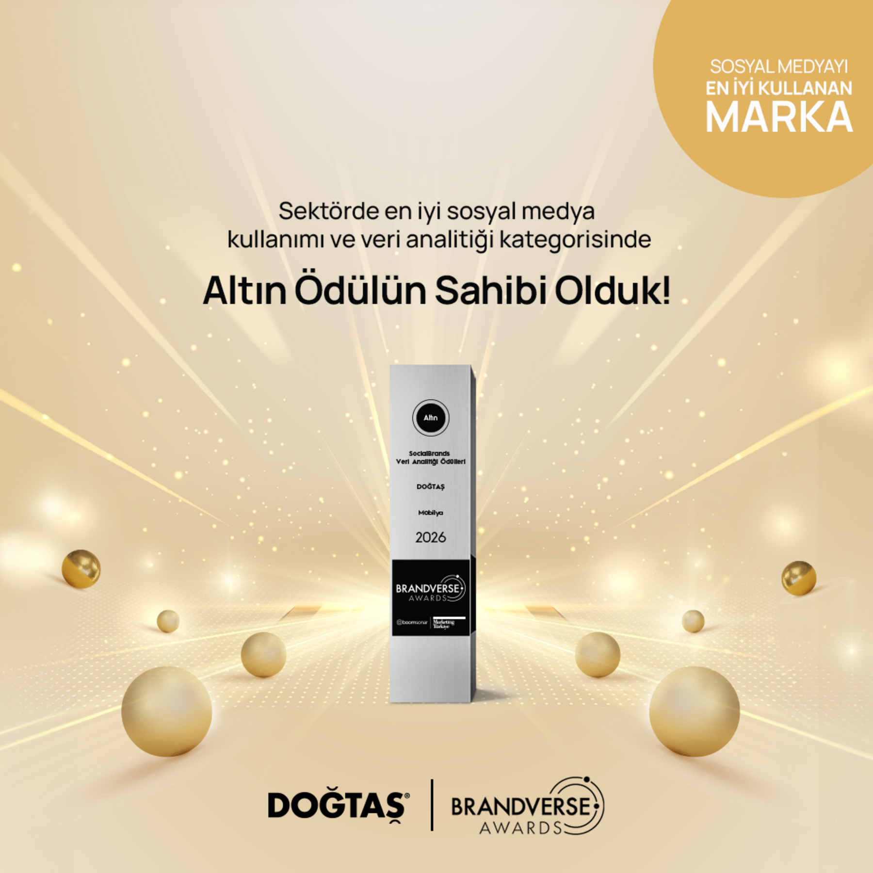 Doğtaş Brandverse Awards Altın Ödül - Görsel