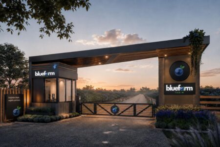 Bluefarm, Yunanistan’da 70 bin; Türkiye’de 150 bin fidan