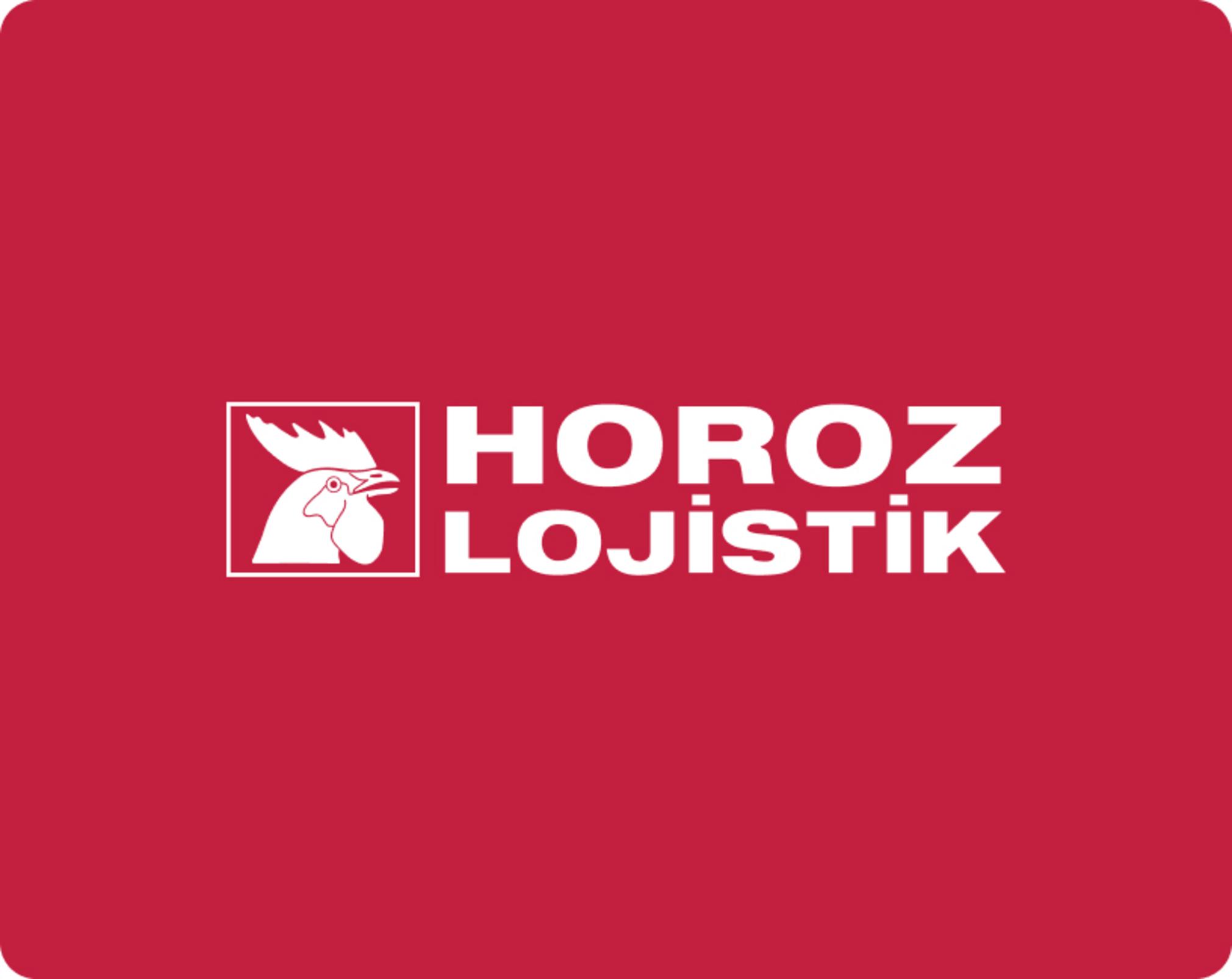 Kaan Göksu, Horoz Lojistik Yurtiçi Lojistik Depolar Grup Başkanı