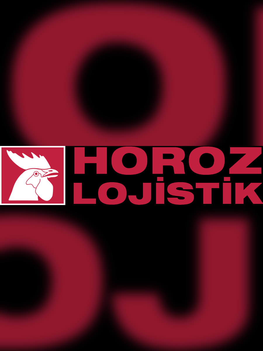 Mustafa Düzgün - Horoz Lojistik Yurtdışı Depolar Grup Başkanı