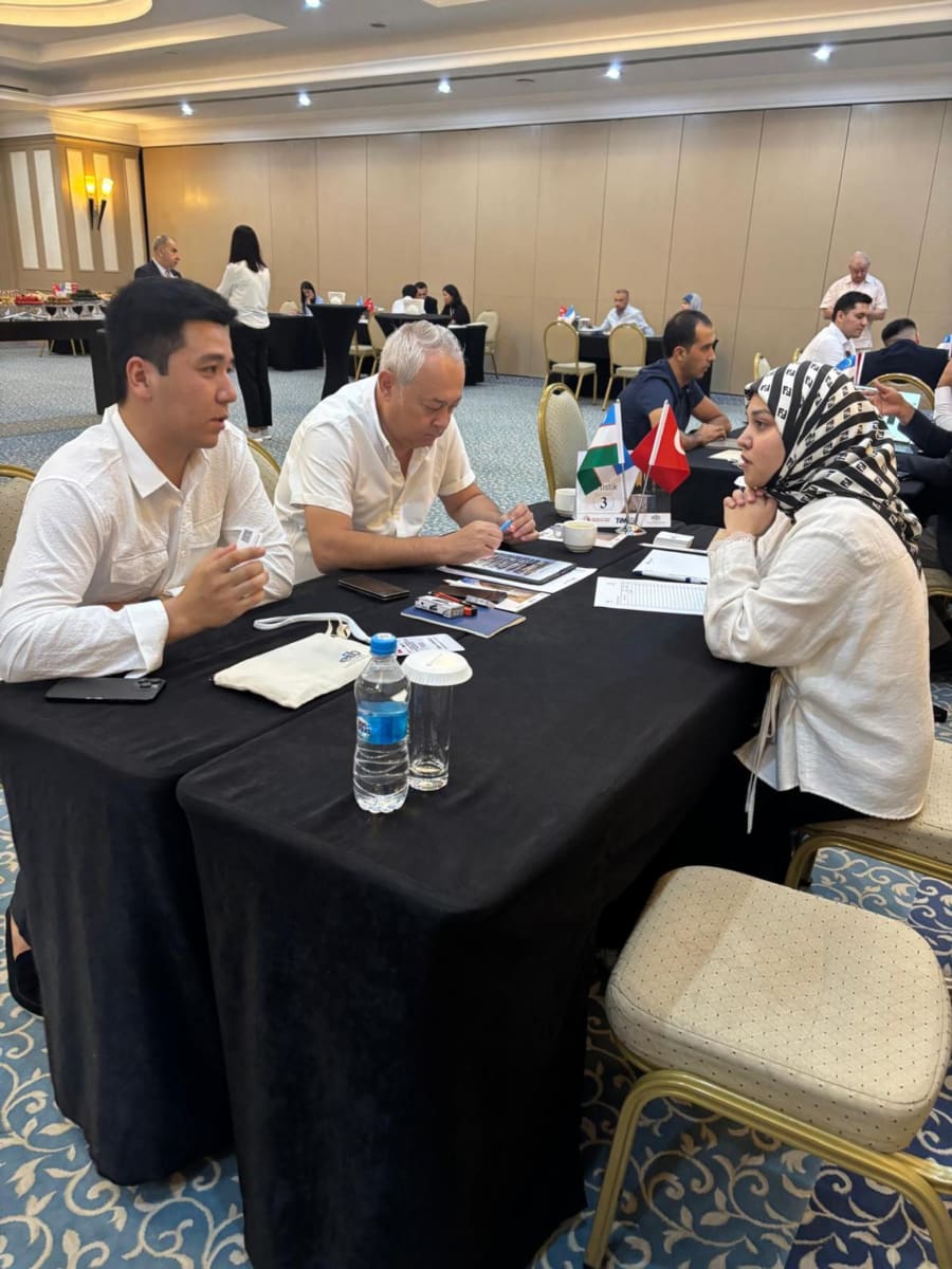 Yangi Tashkent projesi ve Türk doğal taşları