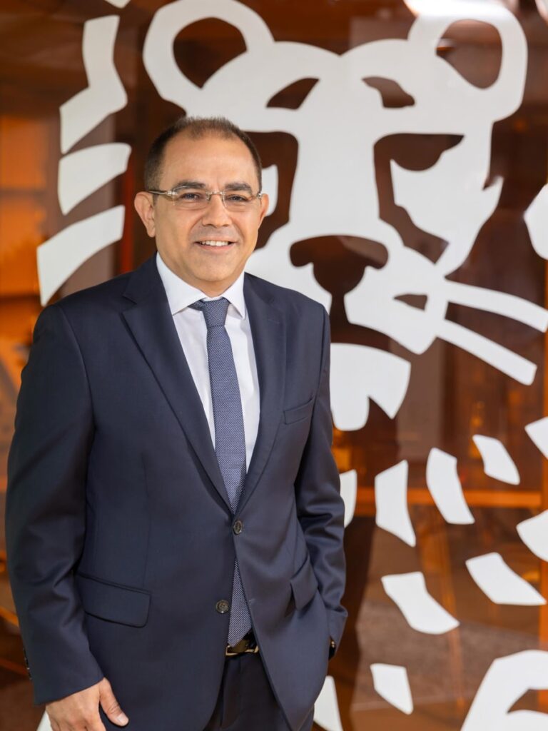 Gökçe Çakıt, ING Türkiye’de Mali Kontrol ve Hazine GMY