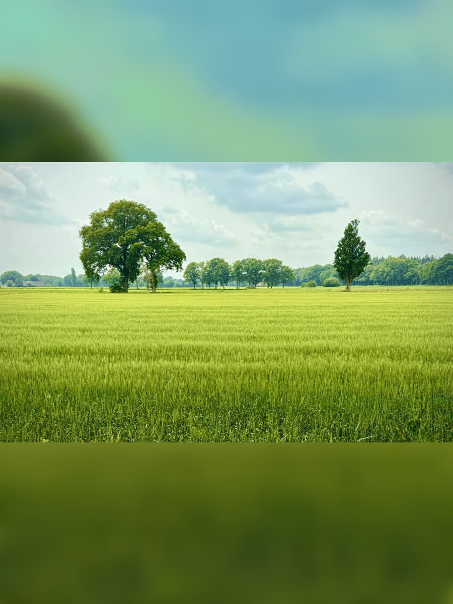 Pluxee Türkiye ISO 14001 Çevre Yönetim Sistemi