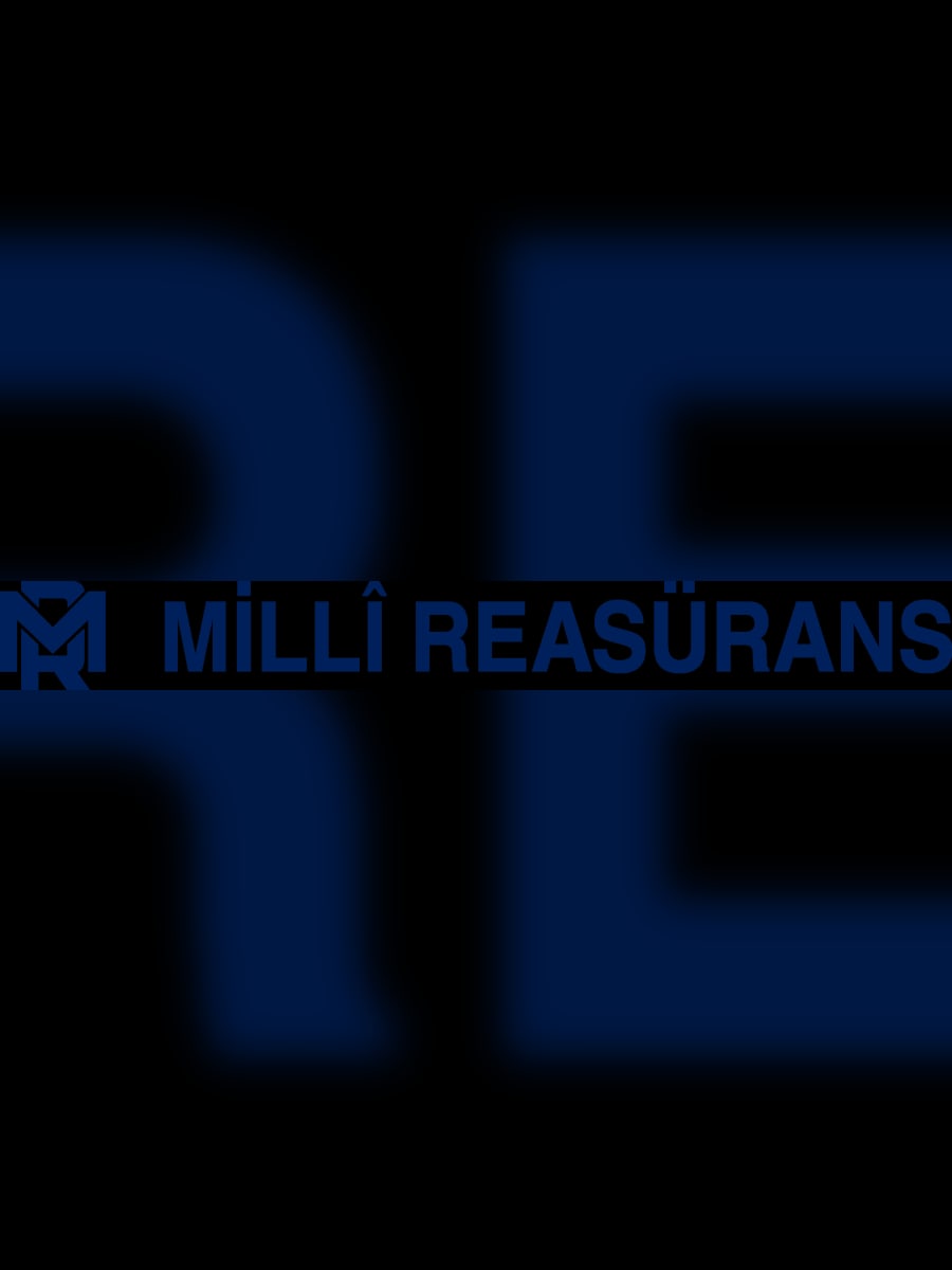Millî Reasürans S&P not artışı görseli 2
