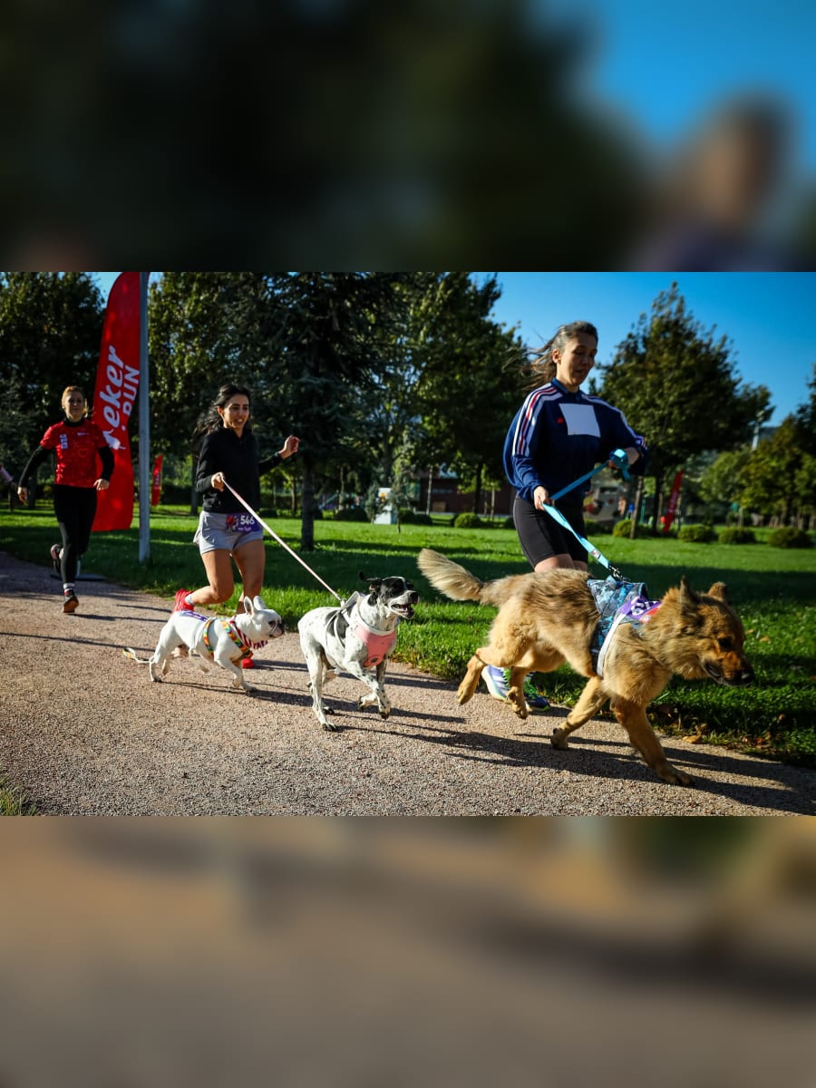 Bursa Hüdavendigar Parkı’nda düzenlenen Köpeğin İle Koş etkinliği