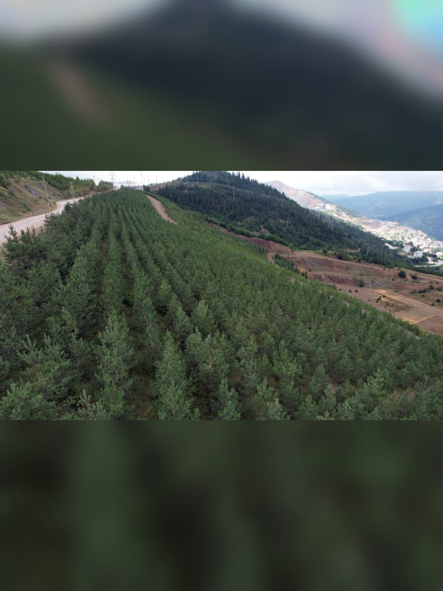 Eti Bakır iklim ve doğa raporu görseli