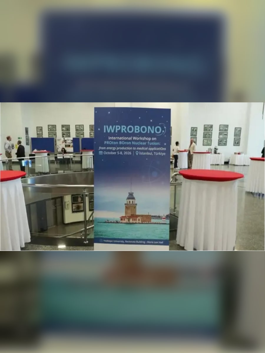 IWPROBONO Uluslararası Çalıştayı, İstanbul - 2