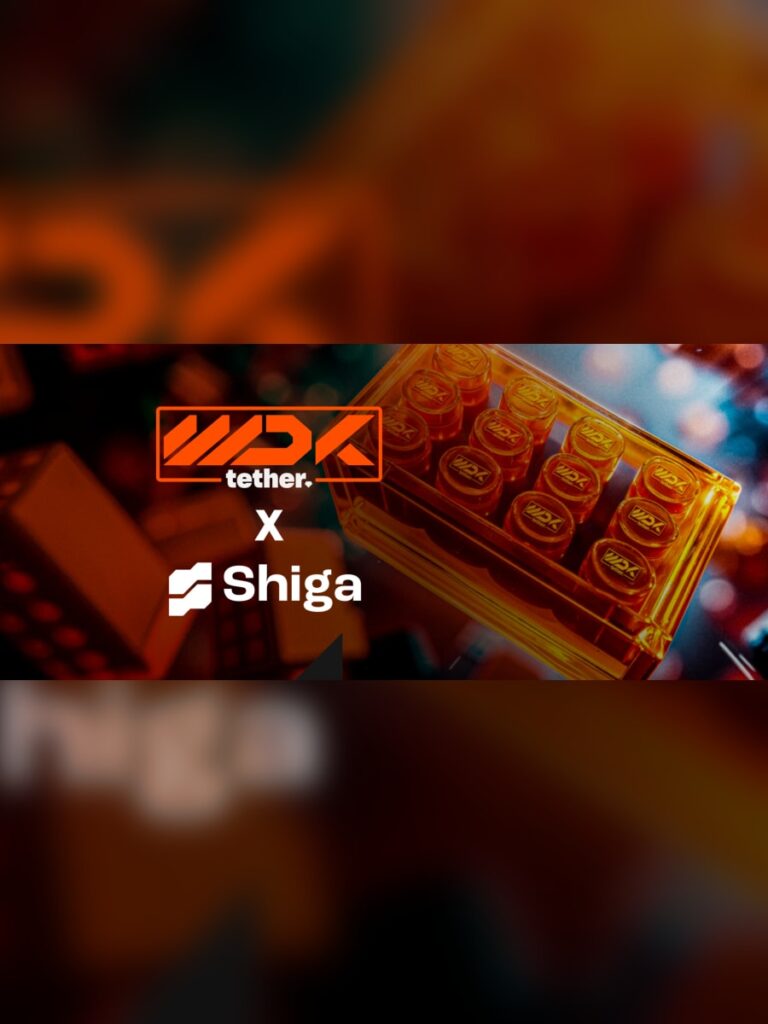 Tether ve Shiga, Afrika ve Körfez’de finansal iş birliği