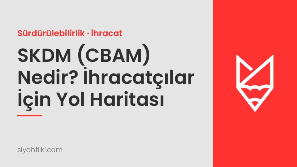 SKDM (CBAM) Nedir? AB'ye İhracat Yapan Şirketler İçin Yol Haritası