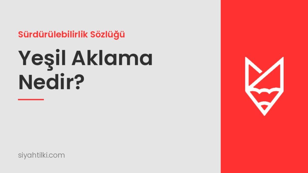 Yeşil Aklama (Greenwashing) Nedir? AB’nin Yeni Kuralları ve Türkiye Yeşil Aklama (Greenwashing) Nedir? AB'nin Yeni Kuralları ve Türkiye