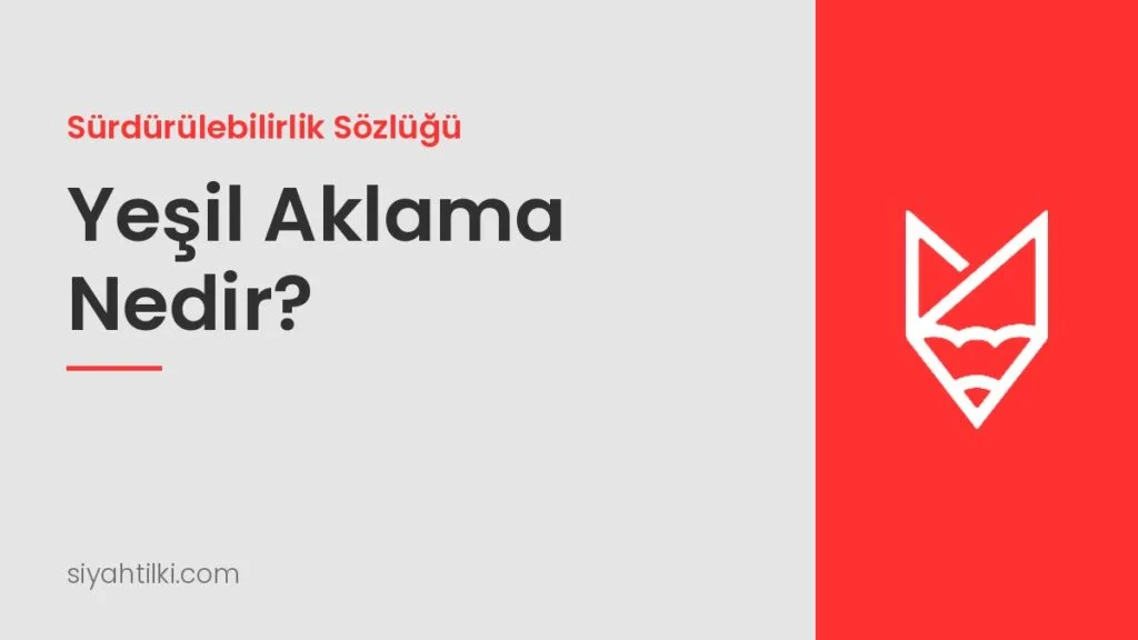 Yeşil Aklama (Greenwashing) Nedir? AB'nin Yeni Kuralları ve Türkiye
